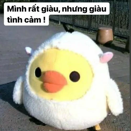 Meme Zalo 47