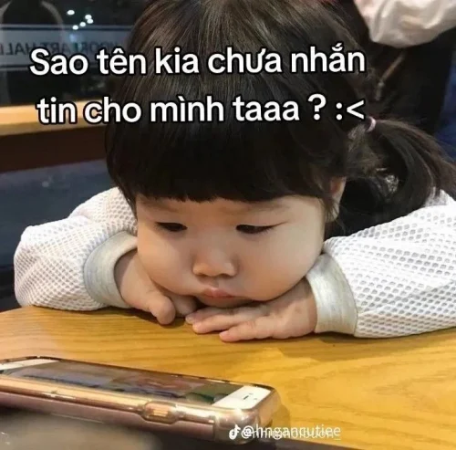 Meme Zalo 48