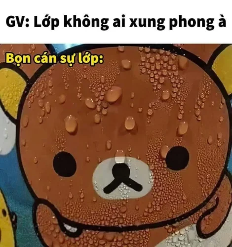 Meme Zalo 49