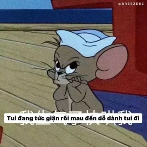 Meme Zalo 50