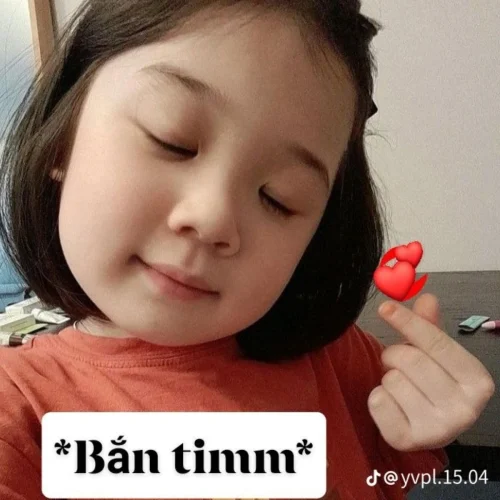 Meme Zalo 53
