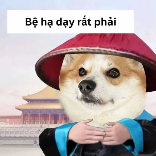 Meme Zalo 55