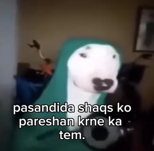 Sticker meme 38