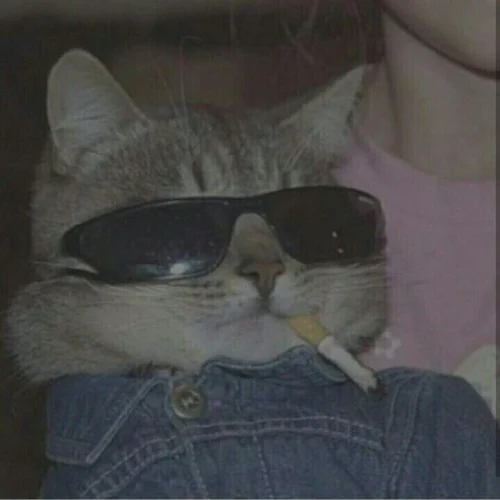 Sticker meme 47