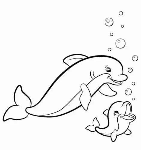 Cá heo mẹ và cá heo con bơi cạnh nhau