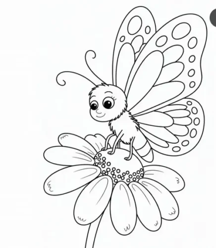 Bướm đậu trên hoa cúc