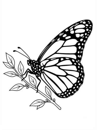 Bướm đậu trên cành