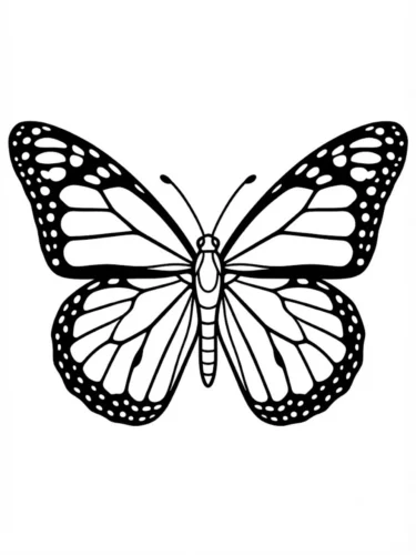 Bướm nét đậm