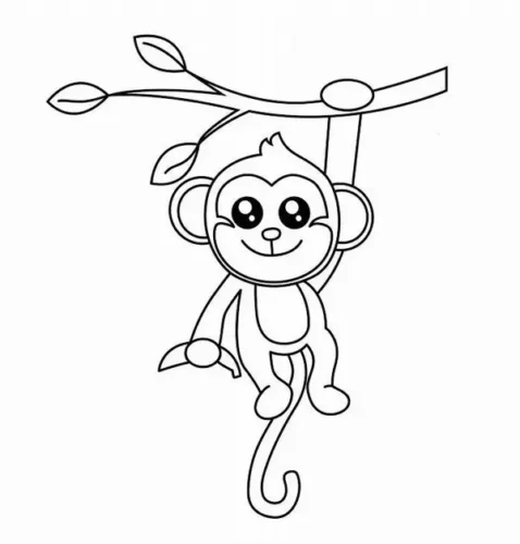 Mẫu tô màu khỉ đu dây leo