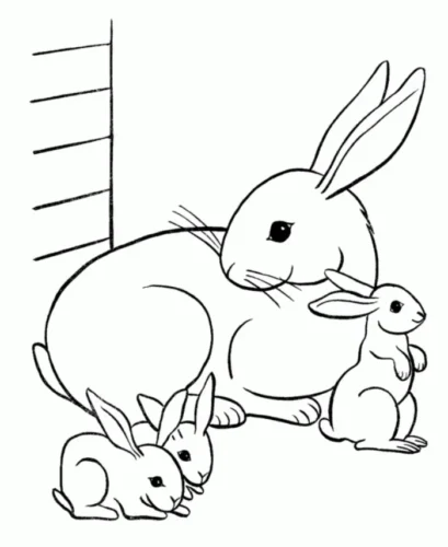 Mẫu tô màu chú thỏ cho bé số 46