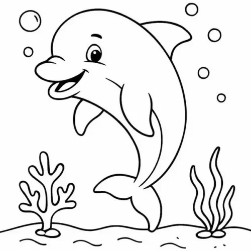 Cá heo nhảy giữa san hô