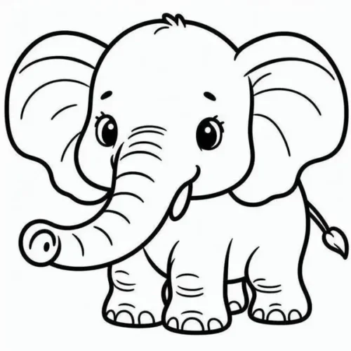 Voi con tai to, ngà nhỏ, đứng thẳng
