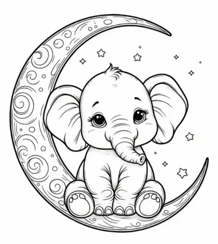 Voi con ngồi trên vầng trăng khuyết
