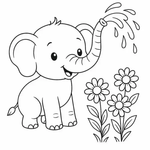 Voi con phun nước tưới khóm hoa cúc