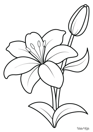 Tranh tô màu hoa 31