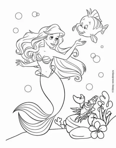 Ariel và Flounder giữa san hô