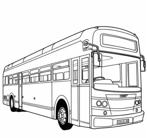 Xe buýt dài, nét mảnh