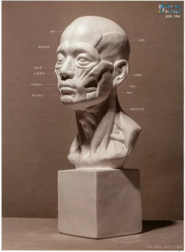 Cách tô tượng đẹp 15