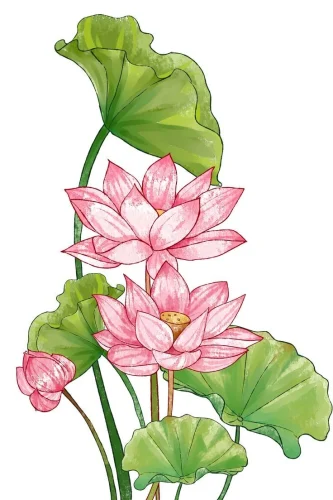 Tranh vẽ hoa 1