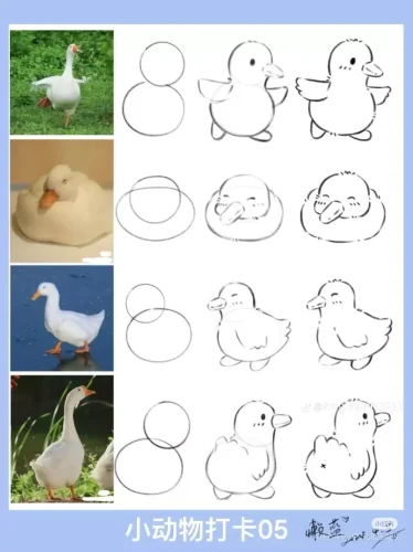 Hướng dẫn vẽ từng bước 9