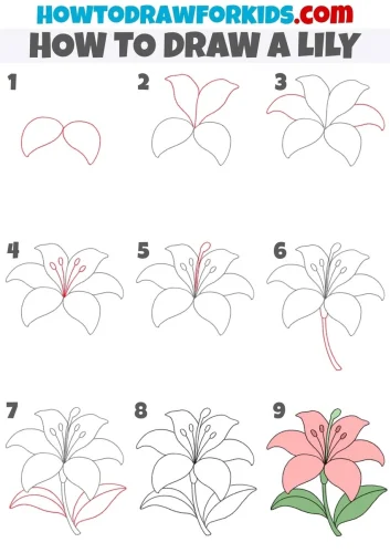 Hướng dẫn vẽ từng bước 32