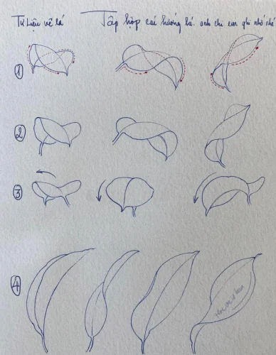 Hướng dẫn vẽ từng bước 4