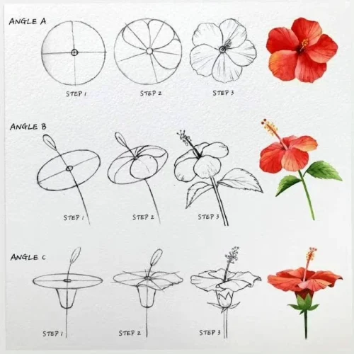 Hướng dẫn vẽ từng bước 11