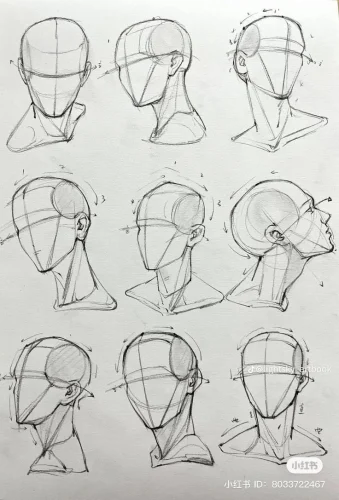 Hướng dẫn vẽ từng bước 12