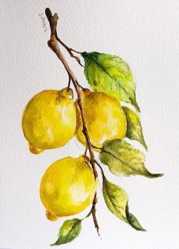 Tranh màu nước 4