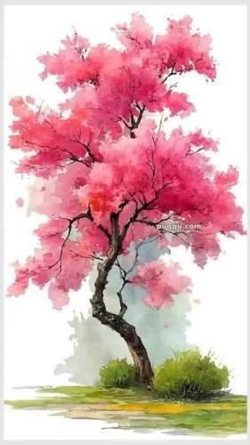 Tranh màu nước 30