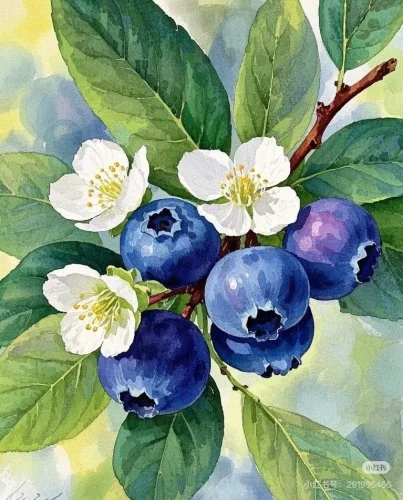 Tranh màu nước 33