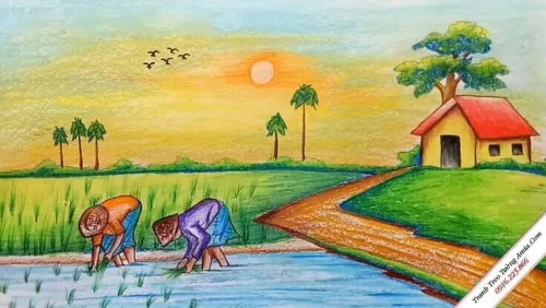 Vẽ tranh quê hương 3