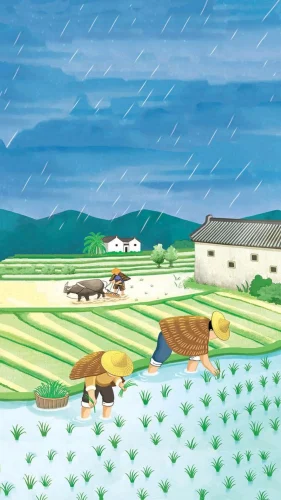 Vẽ tranh quê hương 13