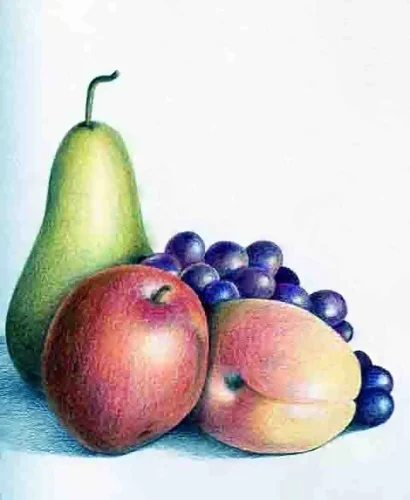 Tranh tĩnh vật 31
